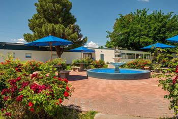 Courtyard with rose garden and shaded areas